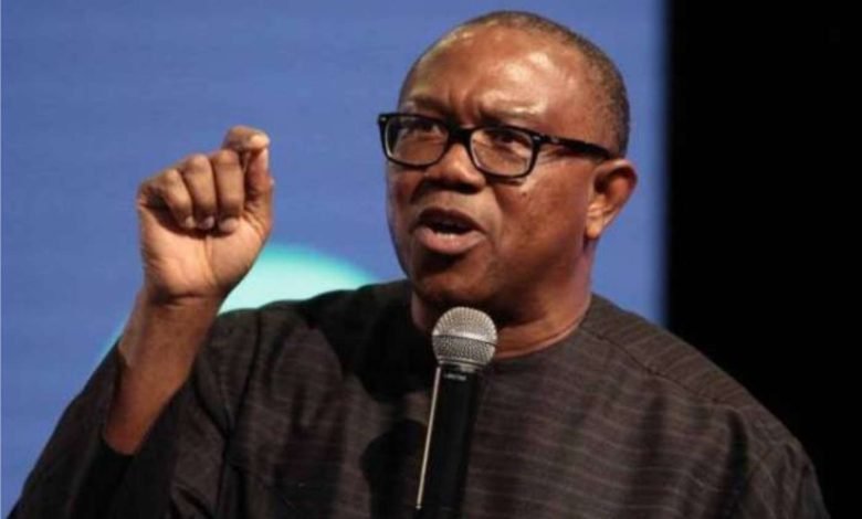Peter Obi calls for an end to persecution of political opponents